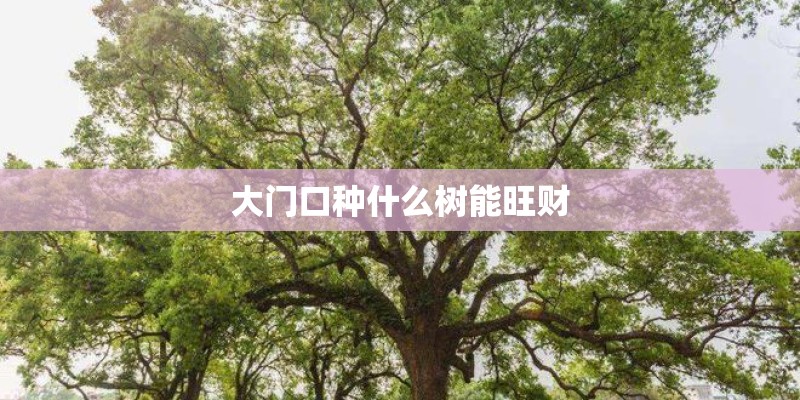 大门口种什么树能旺财