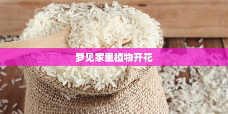 梦见家里植物开花