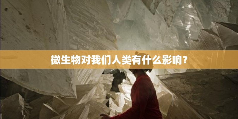 微生物对我们人类有什么影响？
