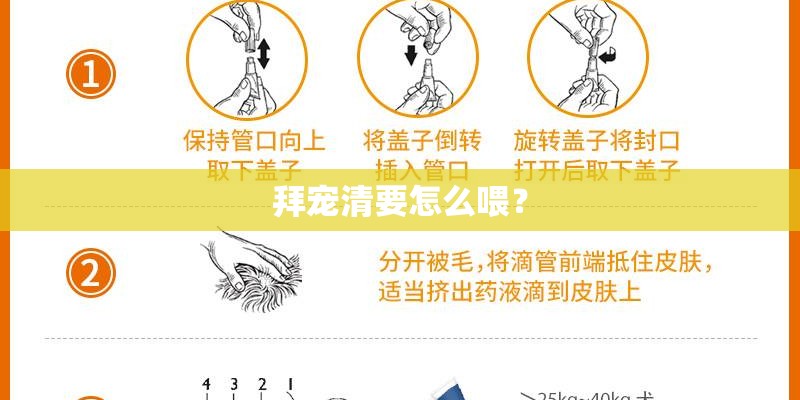 拜宠清要怎么喂？