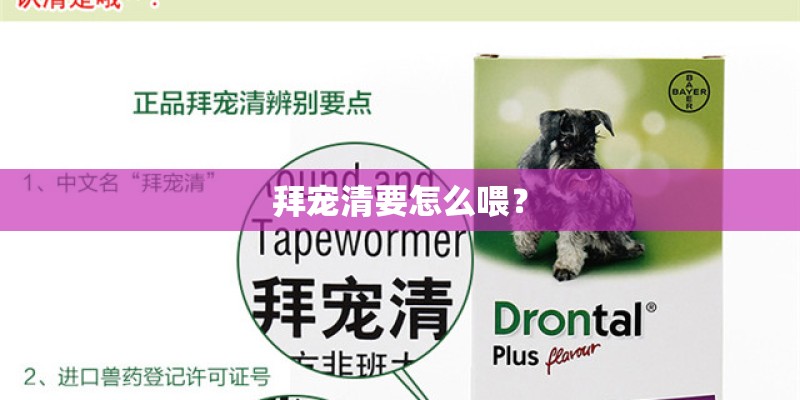 拜宠清要怎么喂？