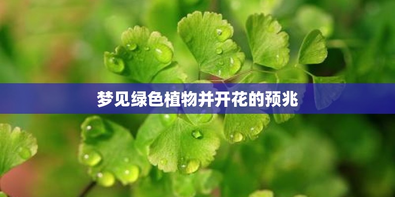梦见绿色植物并开花的预兆