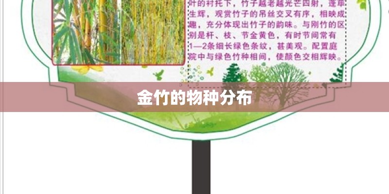 金竹的物种分布