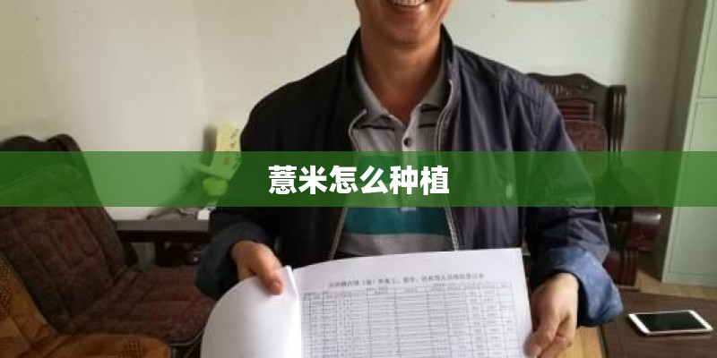 薏米怎么种植