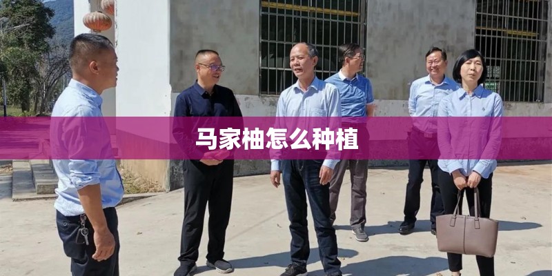 马家柚怎么种植
