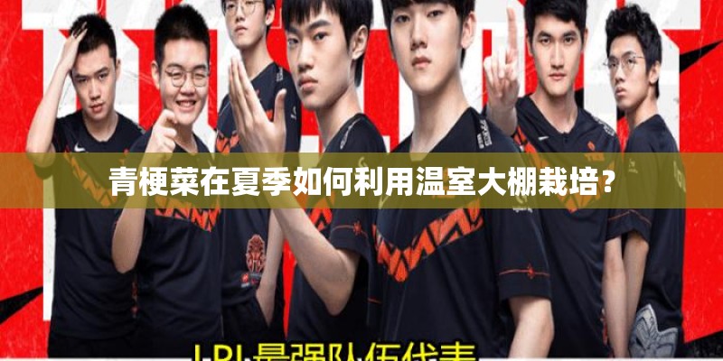 青梗菜在夏季如何利用温室大棚栽培？