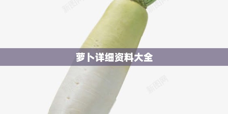 萝卜详细资料大全