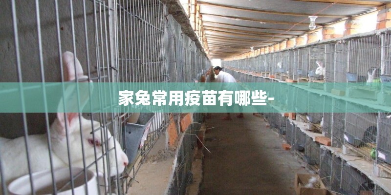 家兔常用疫苗有哪些-