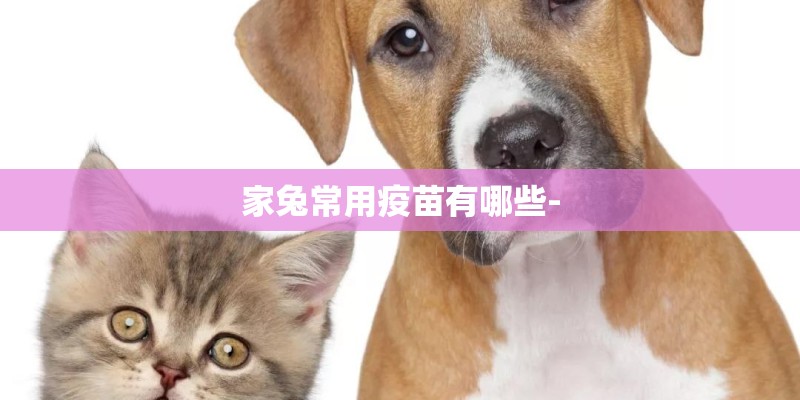 家兔常用疫苗有哪些-