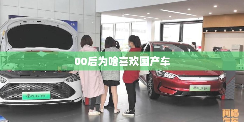 00后为啥喜欢国产车
