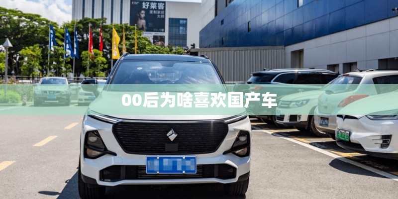 00后为啥喜欢国产车
