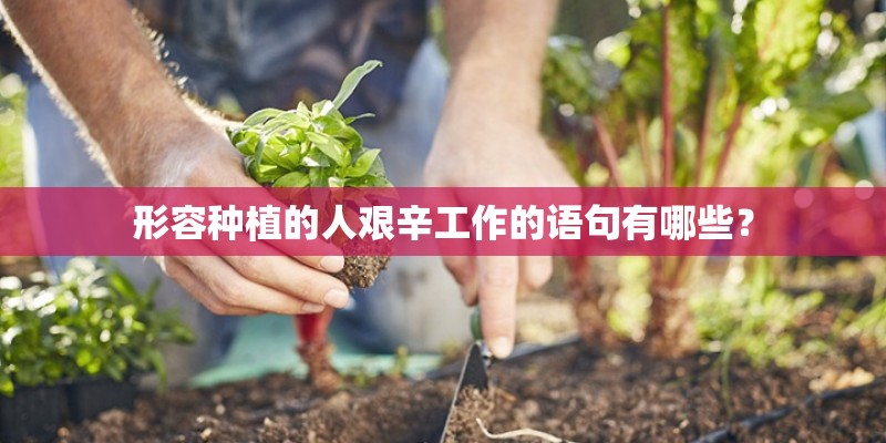 形容种植的人艰辛工作的语句有哪些？