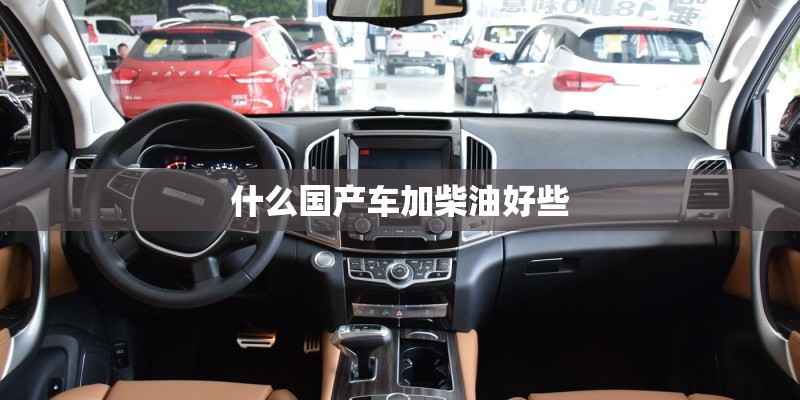 什么国产车加柴油好些