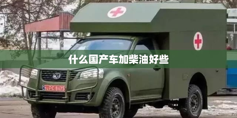 什么国产车加柴油好些