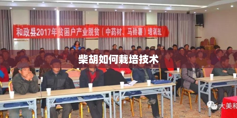 柴胡如何栽培技术