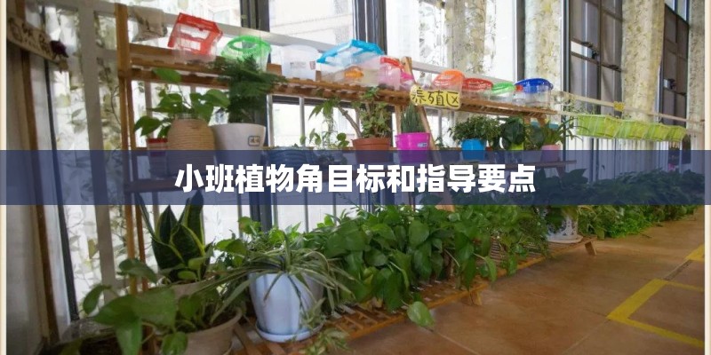 小班植物角目标和指导要点