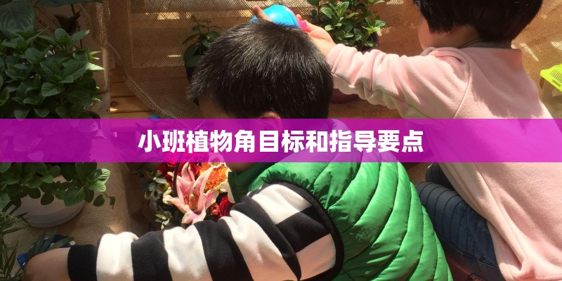 小班植物角目标和指导要点
