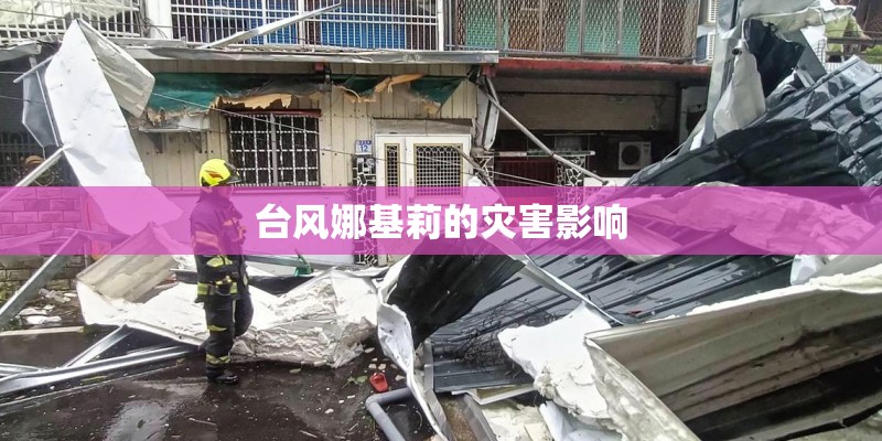 台风娜基莉的灾害影响