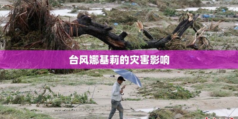 台风娜基莉的灾害影响