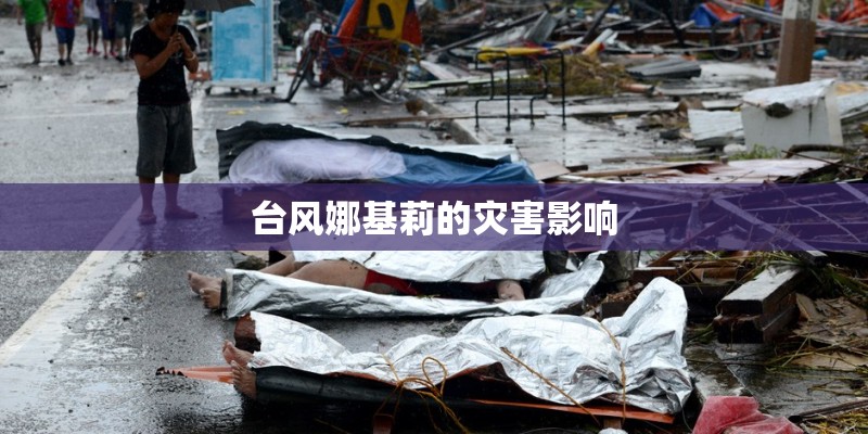 台风娜基莉的灾害影响