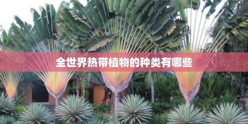 全世界热带植物的种类有哪些
