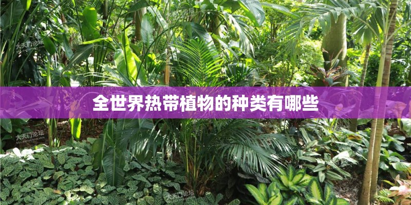 全世界热带植物的种类有哪些