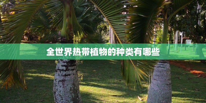 全世界热带植物的种类有哪些