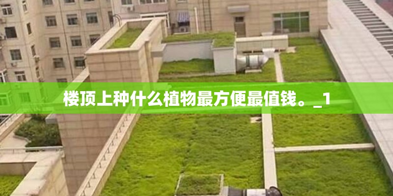 狗狗吃的鸡肉干怎么做