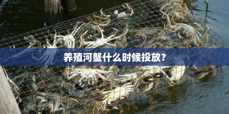养殖河蟹什么时候投放？