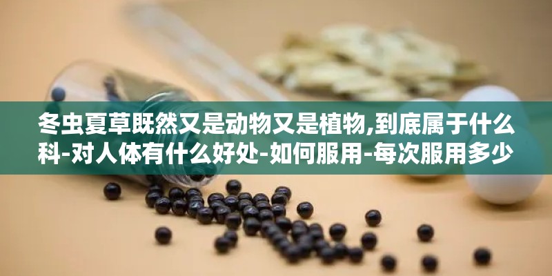 冬虫夏草既然又是动物又是植物,到底属于什么科-对人体有什么好处-如何服用-每次服用多少-