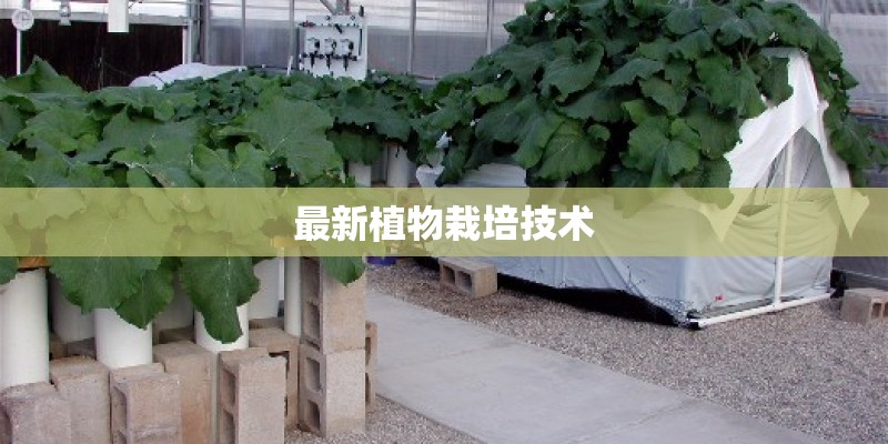 最新植物栽培技术