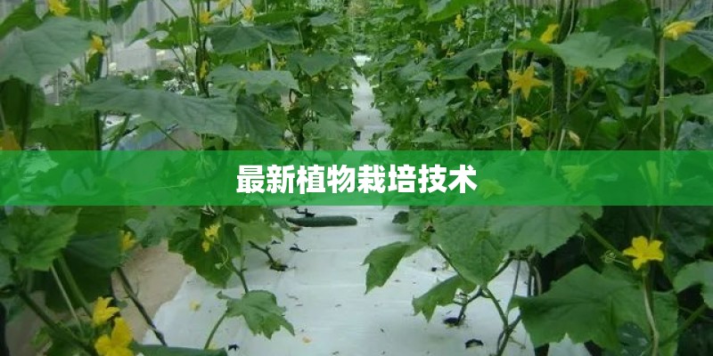 最新植物栽培技术