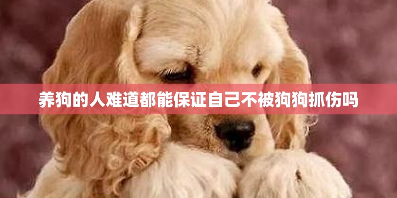 养狗的人难道都能保证自己不被狗狗抓伤吗