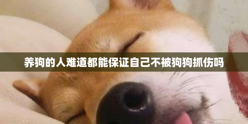 养狗的人难道都能保证自己不被狗狗抓伤吗