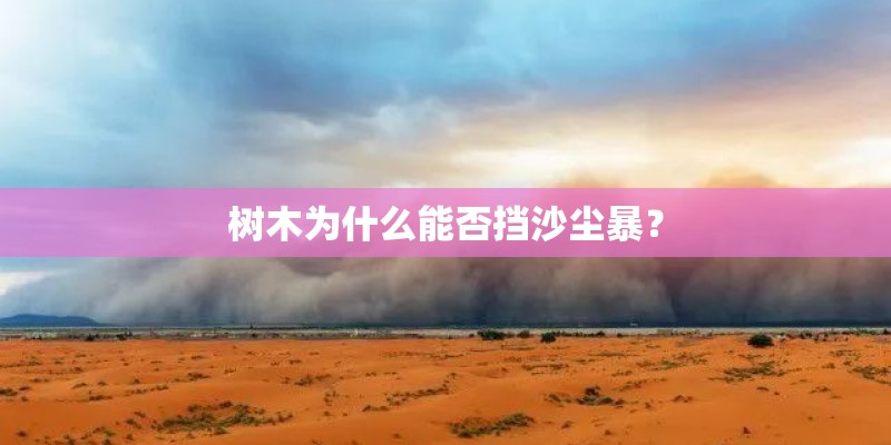 树木为什么能否挡沙尘暴？