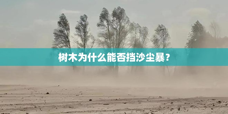 树木为什么能否挡沙尘暴？
