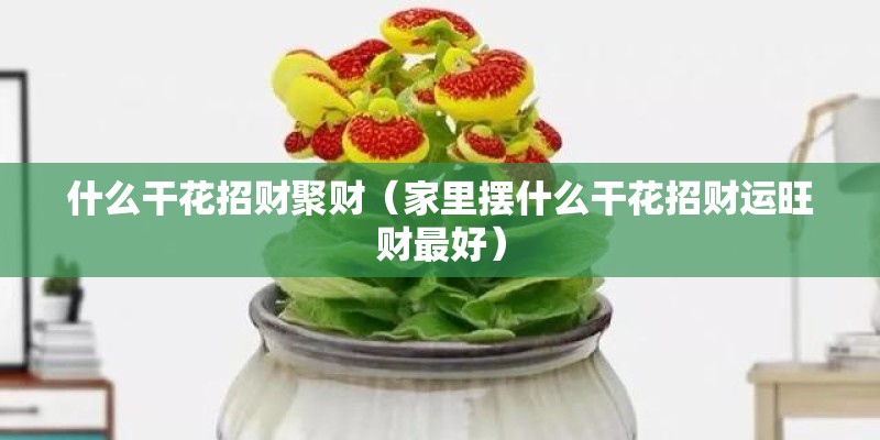 什么干花招财聚财（家里摆什么干花招财运旺财最好）