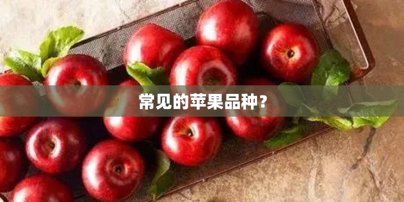 常见的苹果品种？