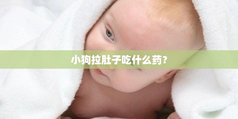 小狗拉肚子吃什么药? 小狗拉肚子吃什么药?