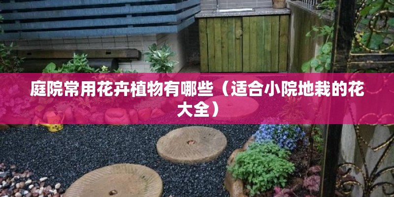 庭院常用花卉植物有哪些（适合小院地栽的花大全）