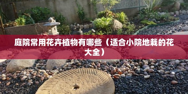 庭院常用花卉植物有哪些（适合小院地栽的花大全）
