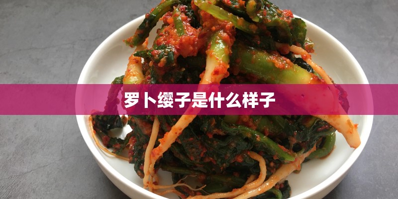 罗卜缨子是什么样子 罗卜缨子是什么样子