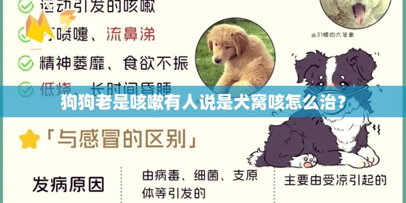 狗狗老是咳嗽有人说是犬窝咳怎么治？