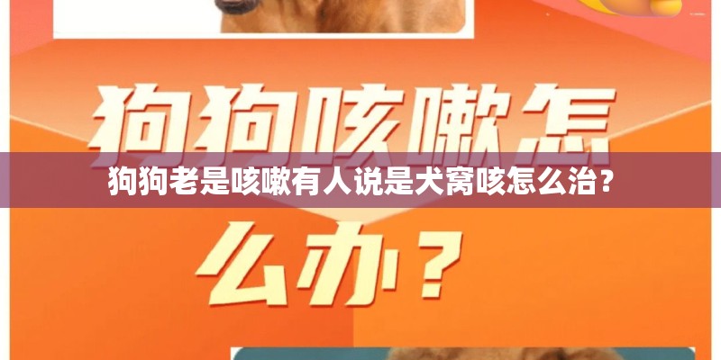 狗狗老是咳嗽有人说是犬窝咳怎么治？