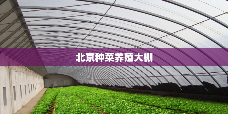 北京种菜养殖大棚