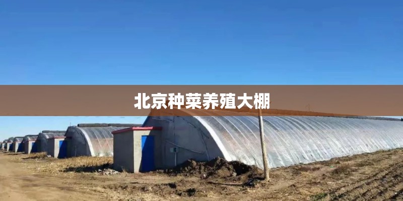 北京种菜养殖大棚