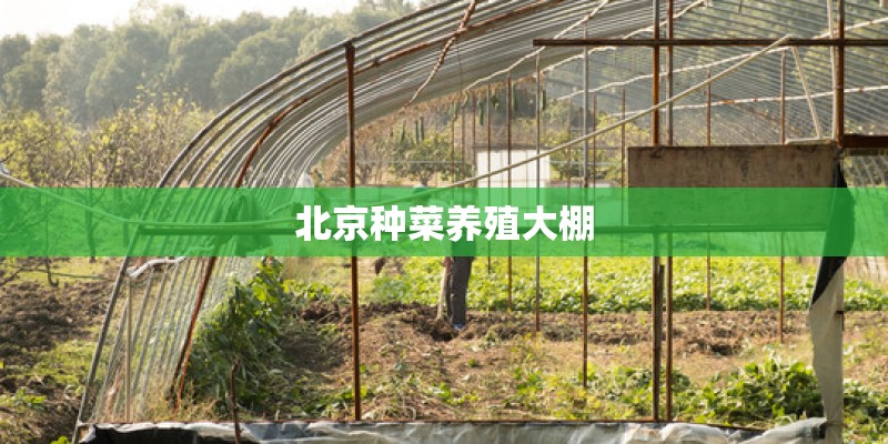 北京种菜养殖大棚