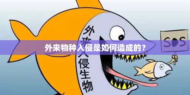 外来物种入侵是如何造成的？