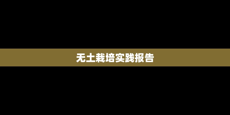 无土栽培实践报告