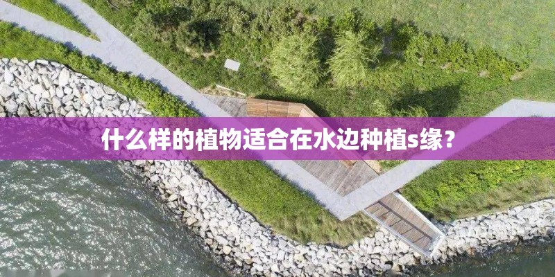 什么样的植物适合在水边种植s缘？